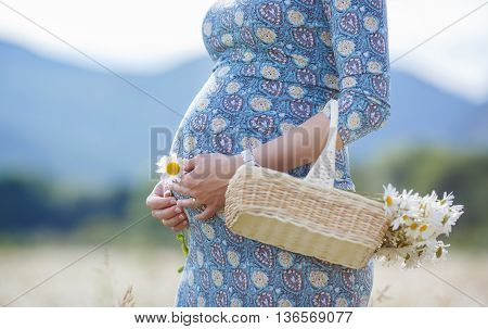Pregnant brunette woman in a blue dress with small wicker basket with flowers, on the head wears a wreath of flowers white Daisy,walking in the summer field of blooming white daisies on a background of mountains and green trees