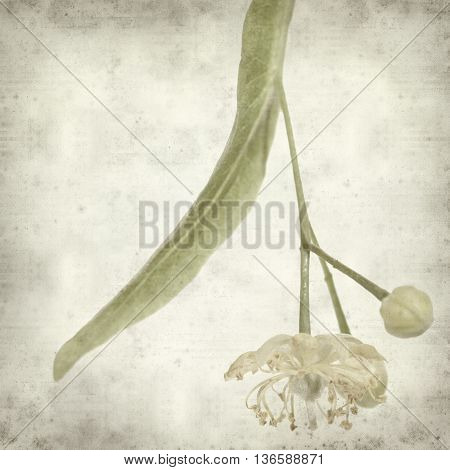 Textured Old Paper Background With