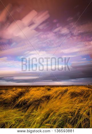 timelapse movement of clouds across marshland and grasses in sunlight