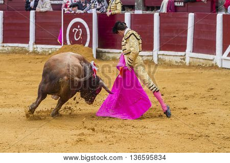 Ubeda Spain - October 4 2010: The Spanish Bullfighter El Fandi bullfighting with the crutch in the Bullring of Ubeda Spain