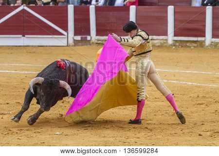 Ubeda Spain - October 4 2010: The Spanish Bullfighter Daniel Luque bullfighting with the crutch in the Bullring of Ubeda Spain