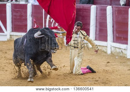 Ubeda Spain - October 4 2010: The Spanish Bullfighter El Fandi bullfighting with the crutch in the Bullring of Ubeda Spain