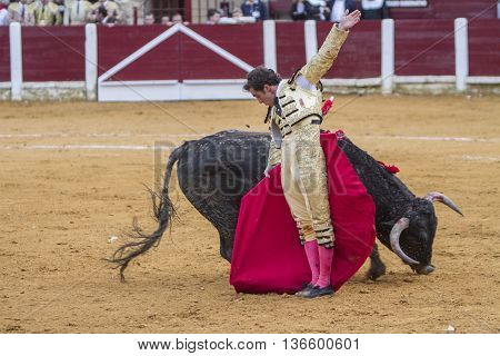 Ubeda Spain - October 4 2010: The Spanish Bullfighter El Fandi bullfighting with the crutch in the Bullring of Ubeda Spain