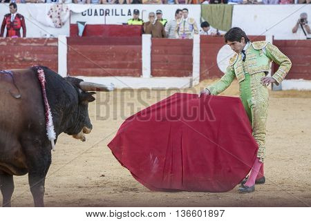 Andujar Spain - September 12 2008: The Spanish Bullfighter Sebastian Castella bullfighting with the crutch in the Bullring of Villacarrillo Spain