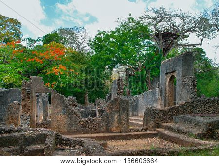Remains Of  Gede, Near The Town  Malindi In Kenya, Africa