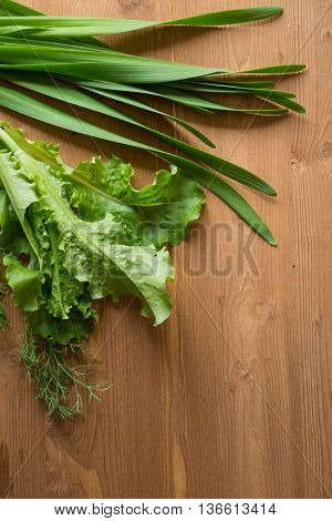 Onion Allium nutans and salad on wooden background