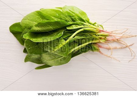 Green spinach on a white background. A bunch of spinach.