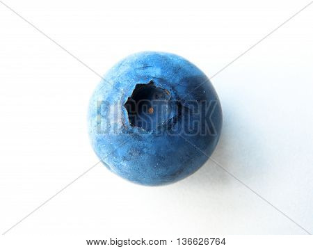 Closeup Of One Delicate And Fresh Blueberry