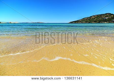 golden shore in Cala Battistoni in Sardinia