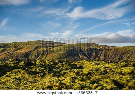 Eldhraun lava field (moss cover on lava rock) and mountain beautiful volcanic landscape of Iceland