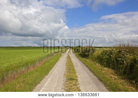 Summer Bridleway