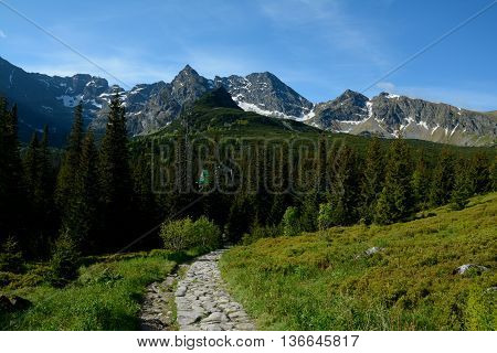 Trail peaks and trees in Gasienicowa valley in Tatra mountains nearby Zakopane in Poland
