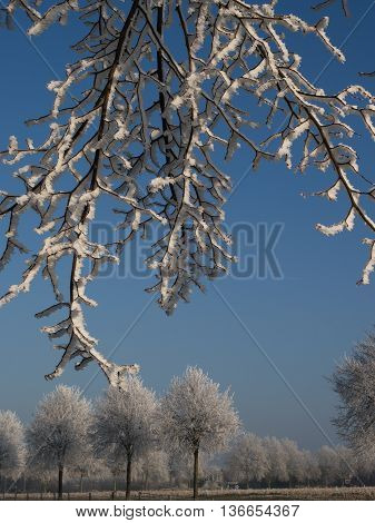 winter at the Castle of raesfeld in germany