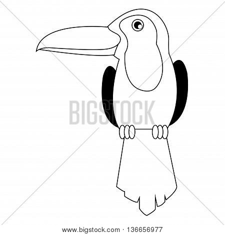 simple flat line design toucan icon vector illustration animal