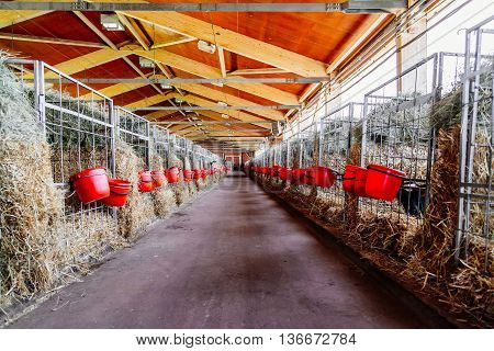 The barn with cages with hay and buckets. Place for calves