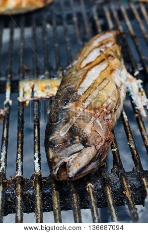 Grilled fish (scomber mackerel) as healthy food for a picnic