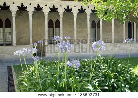 Monastery San Francesc