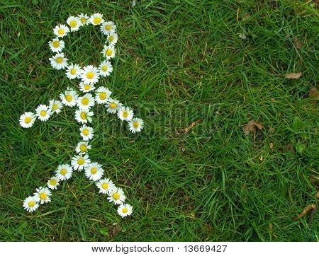 Un Stickman di fiore bianco sull'erba verde
