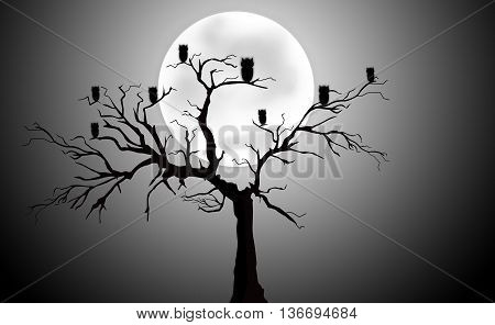 Full Moon Light Night with Tree Silhouette and Owls
