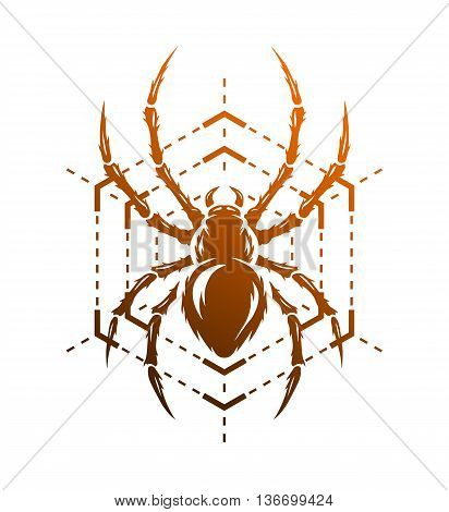 Spider and spider web in the form of a geometric figure. Symbol insect.