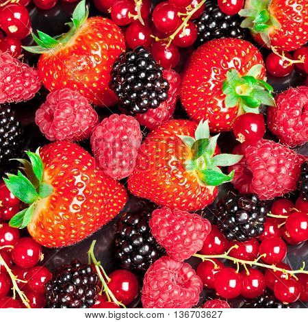 image of berrys - strawberry currant blackberry raspberry...