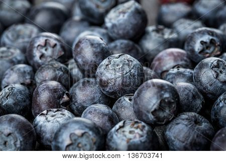 Image of Fresh Berries - Blueberries background closeup