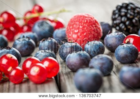 Blueberries Background