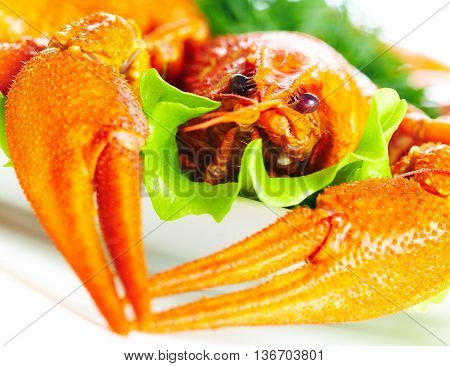 Image of boiled crawfish on a white background...