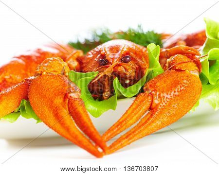 Image of boiled crawfish on a white background...