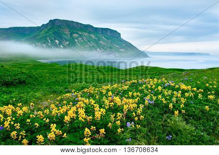 Landscape At Paramushir Island, Kuril Islands, Russia