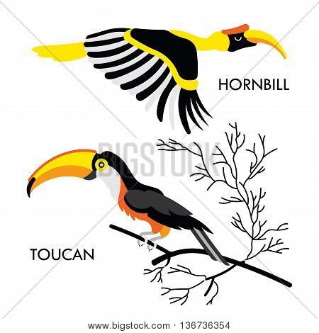 Cartoon african wild birds. Vector african birds made in flat style. Isolated wild african Toucan and Hornbill. Cartoon wild birds african background. Isolated vector Toucan. Isolated vector Hornbill.