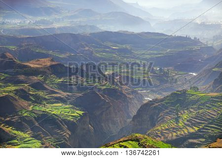 Stepped Terraces With Morning Fog In Colca Canyon, Peru