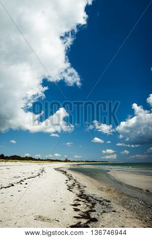 Marielyst Beach In Denmark