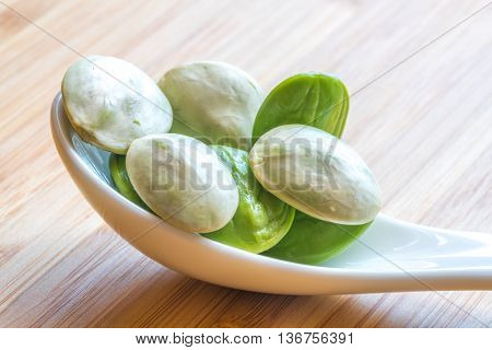Parkia speciosa ( petai bitter bean twisted cluster bean stinker or stink bean) with white cup and spoon