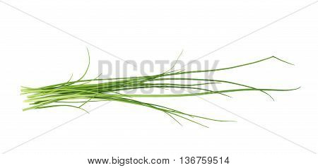 Green onion scallions isolated over the white background