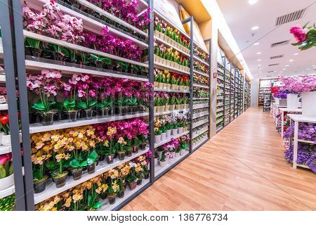 KUALA LUMPUR MALAYSIA - MAY 30 2016 : Paper flower shop at Setia Mall Setia Alam Selangor.