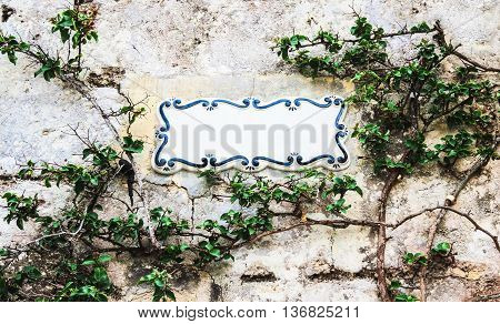 Traditional Maltese ceramic tile placed on the stone wall entwined with climbing bush plant city of Mdina Malta. Place your text