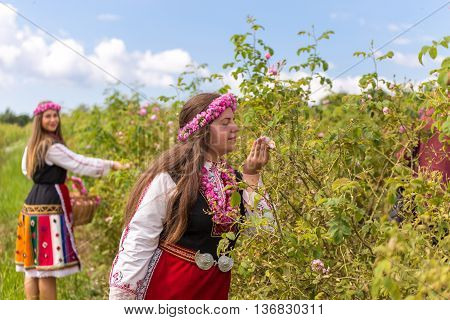 Bulgarian girls dressed in traditional dress picking roses during the Annual Rose Festival in Kazanlak Bulgaria