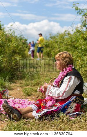 Rose Picking Festival