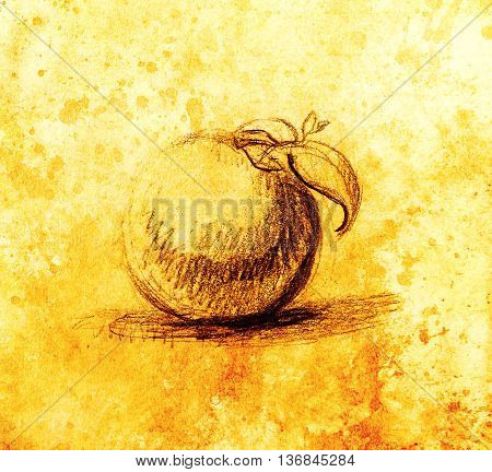 Color drawing of Fruit. Original hand draw and computer collage. Color structure