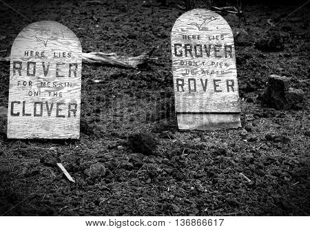 Rover goes down and takes poor old Grover with him.