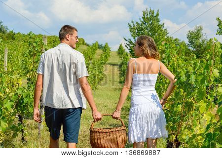 Happy Couple Grape Picking And Holding Wicker Basket
