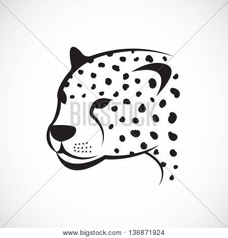 Vector image of an cheetah face on white background. Vector cheetah face for your design.