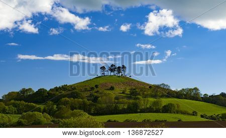 Dorset countryside around Colmer's Hill under blue skies