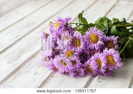 Bouquet Garden Chrysanthemums On A White Wooden Background