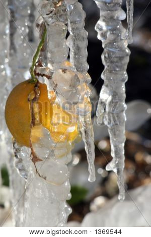 Glaçons orange