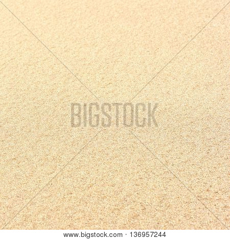 Fine sand at the beach. Close-up of yellow sand with copy space.