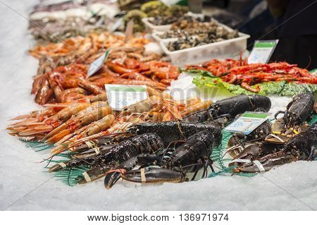 Lobsters shrimps and prawns fresh seafood in the fish market in Barcelona