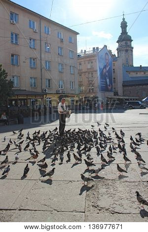 Lviv - circa August 2013: man feeds a lot of pigeons on the road in the central part of Lviv. circa August 2013 in Lviv, Ukraine.