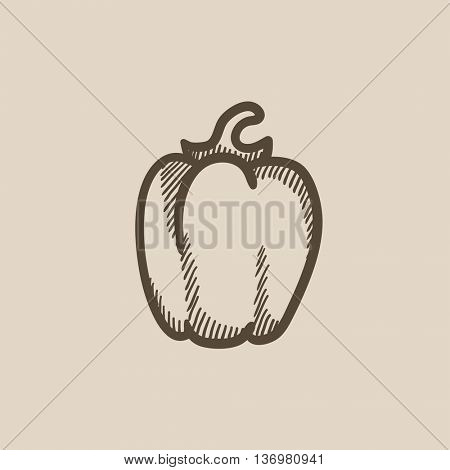 Bell pepper vector sketch icon isolated on background. Hand drawn Bell pepper icon. Bell pepper sketch icon for infographic, website or app.